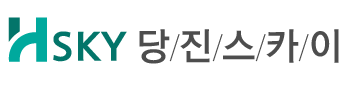 당진스카이 로고